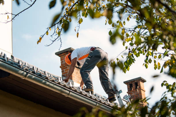 Best Roof Gutter Cleaning  in Rogers, TX